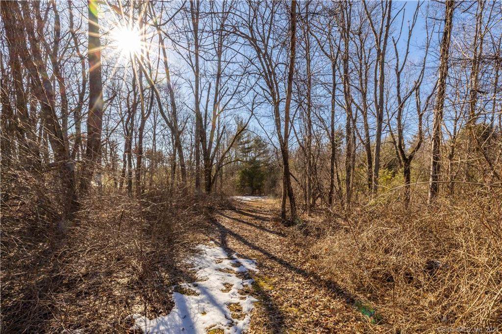 105 Salmon Brook Street - Photo 1