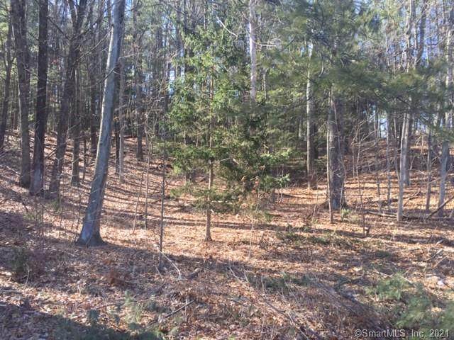 169 West Avon Road - Photo 1
