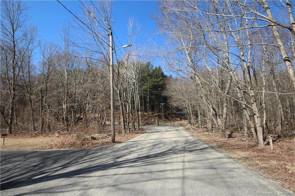 Lot 1 Porter Hill Road - Photo 1