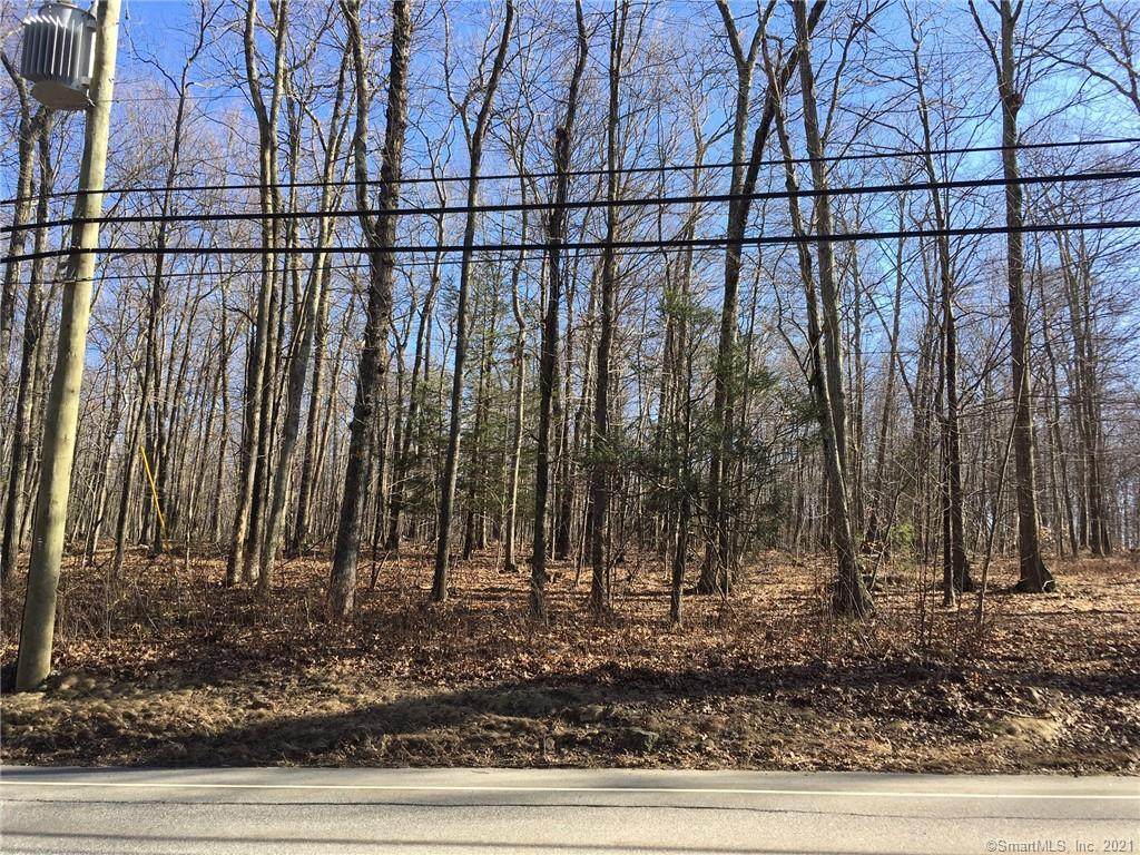 22/040- Tolland Turnpike - Photo 1
