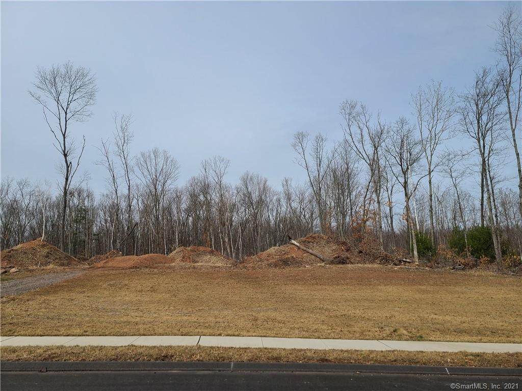 39 Brook Crossing Extension - Photo 1
