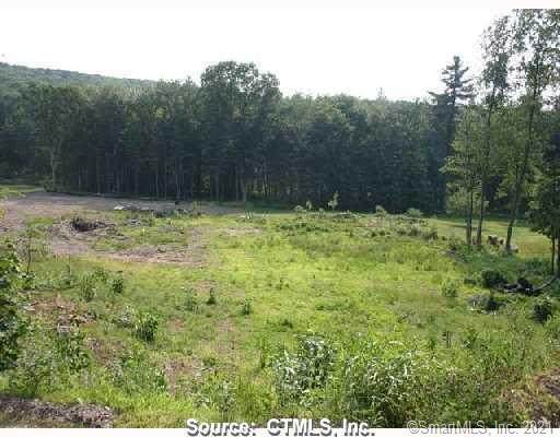 29 Ladd Road - Photo 1