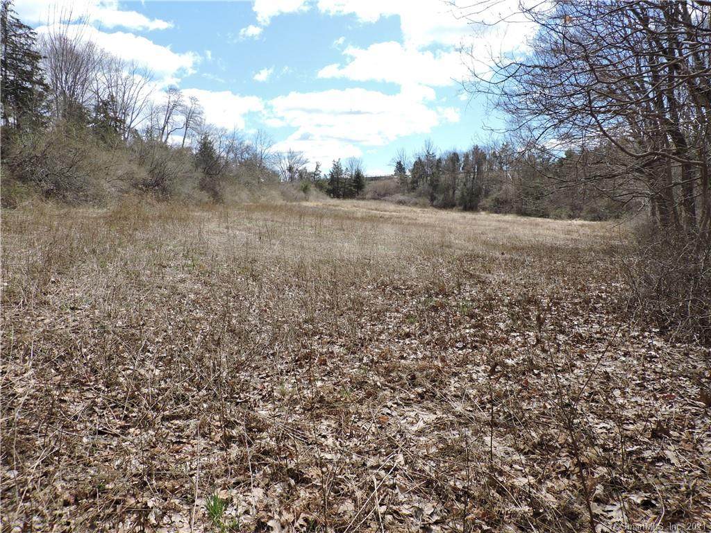 208 Bioski Road - Photo 1