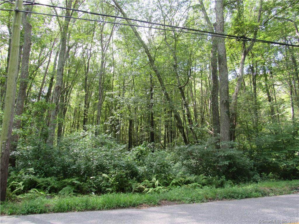 96 Butlertown Road - Photo 1