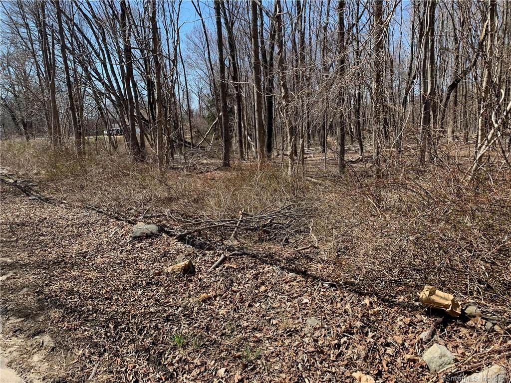 0 Shelton Road - Photo 1