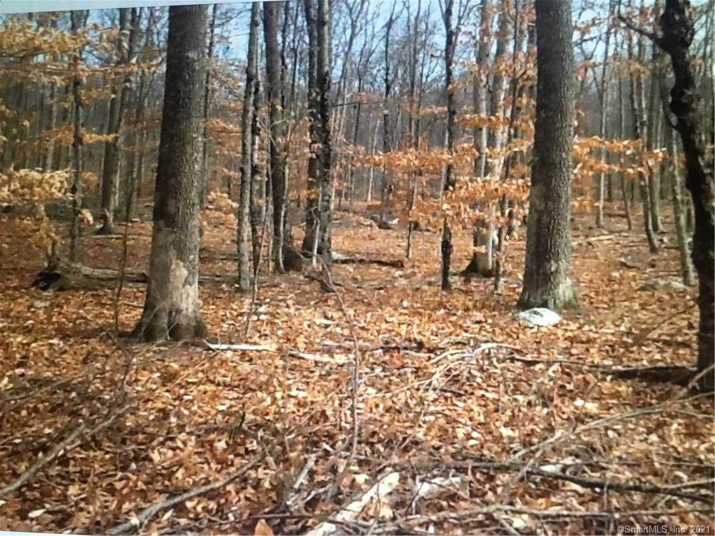 156 Ziegler Road - Photo 1