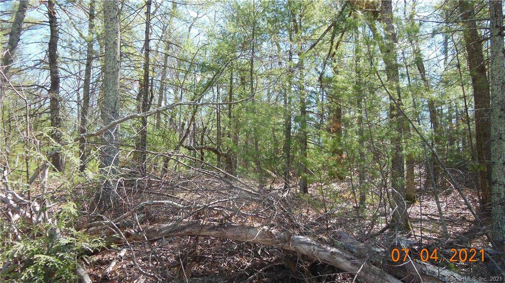 156 Wylie School Road - Photo 1
