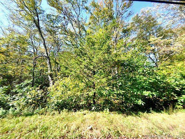 207 Boston Post Road - Photo 1