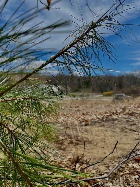 2 Valley Brook Road - Photo 1