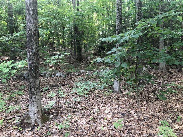 74 Lane Hill Road - Photo 1