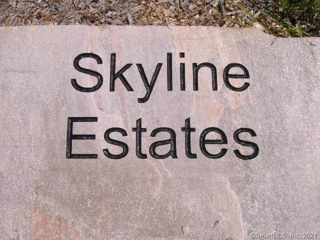 27 Skyline Drive - Photo 1