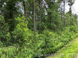 29-13 Kinne Road - Photo 1