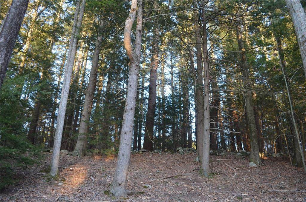 OC89 Hemlock Drive - Photo 1