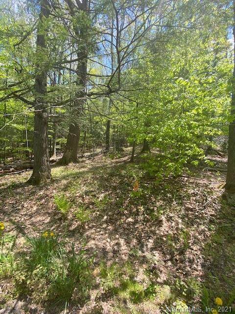 5 Old Forge Road - Photo 1