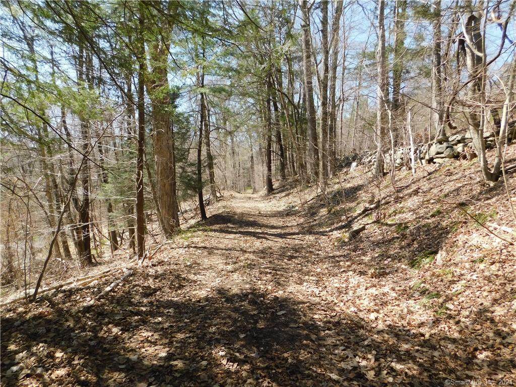 000 Guinea Road - Photo 1
