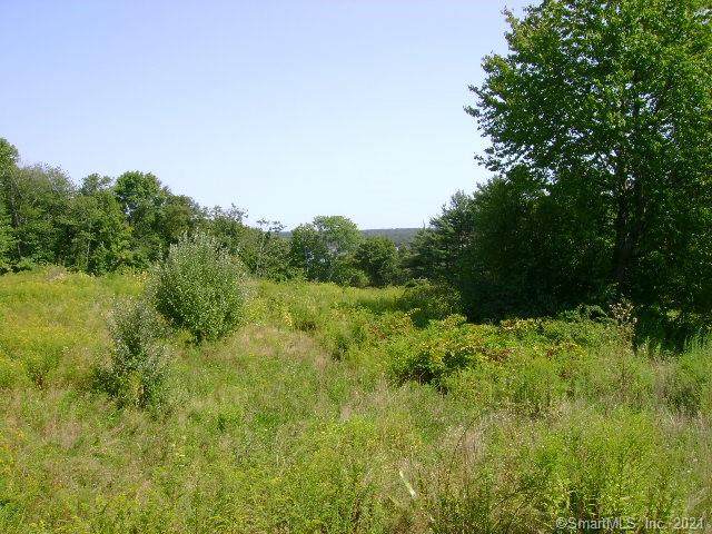 LOT 46 Starview Way - Photo 1
