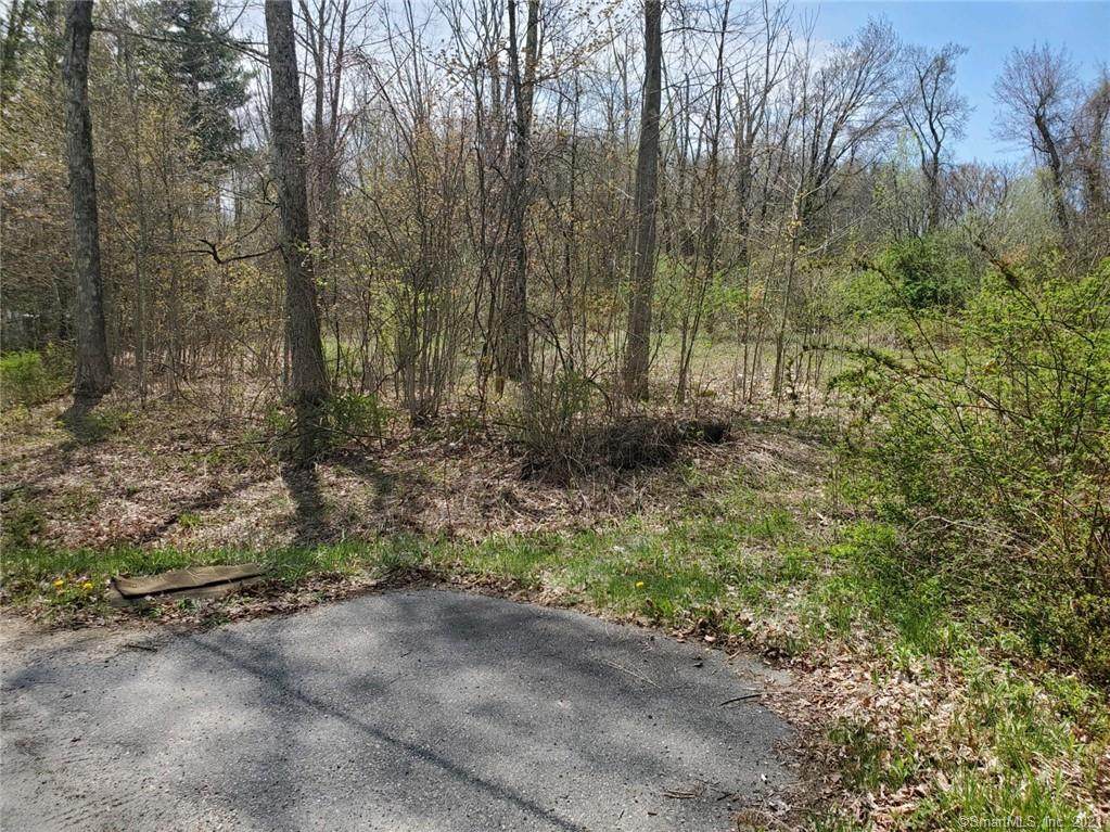 113 Losaw Road - Photo 1