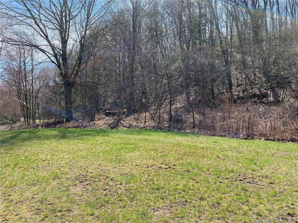 Lot 12 Waterbury Road - Photo 1