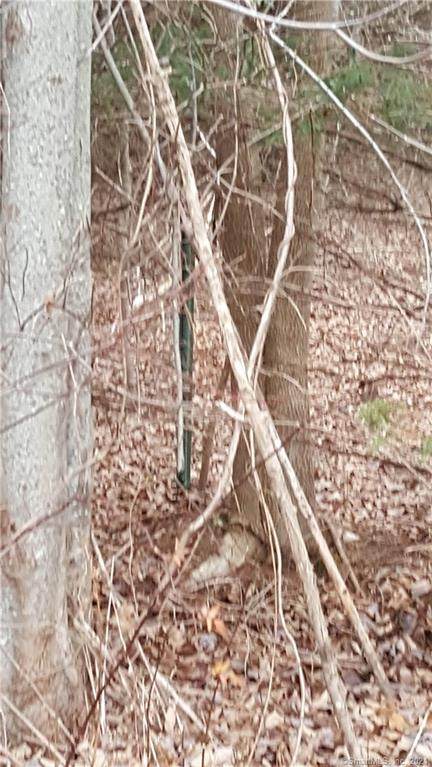 0 Hnath Road - Photo 1