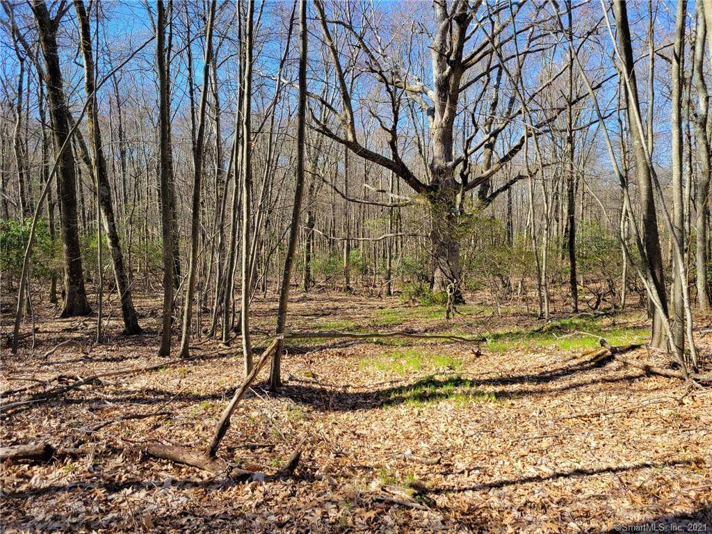 234 Brandy Hill Road - Photo 1