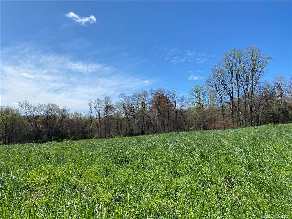 Lot 4 Balsam Place - Photo 1