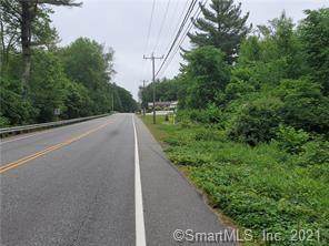 00 Ashford Center Road - Photo 1