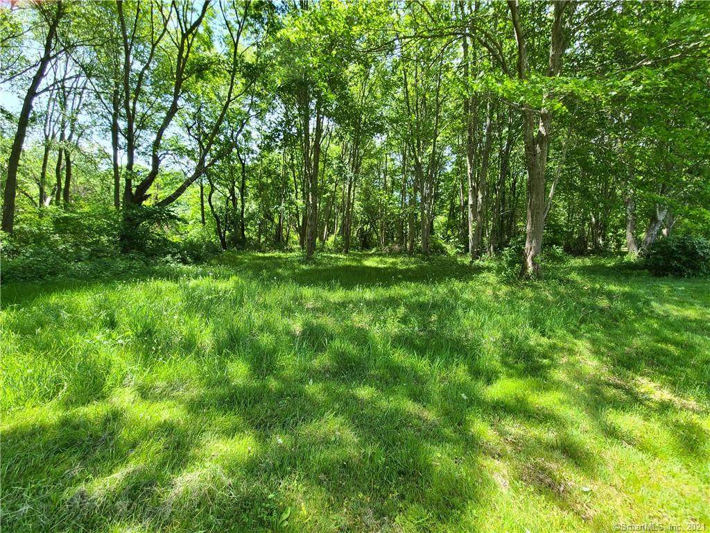 37 Cow Hill Road - Photo 1