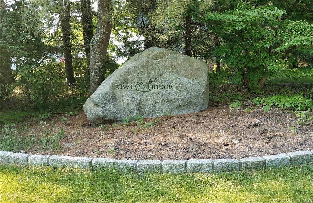 78 Owl Ridge Road - Photo 1