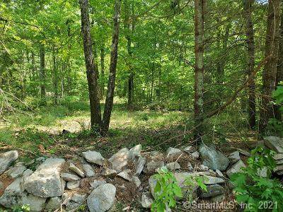 39 Tatro Road - Photo 1