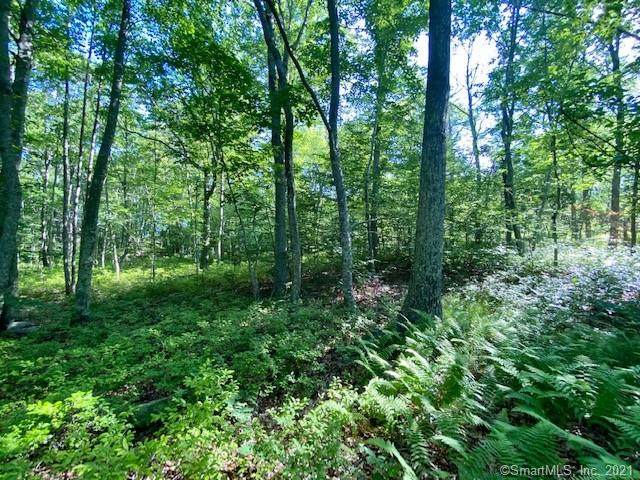 51 Beechwood Boulevard - Photo 1