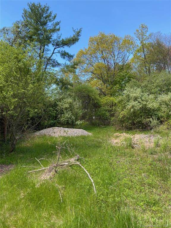 4 Bear Mountain Road - Photo 1
