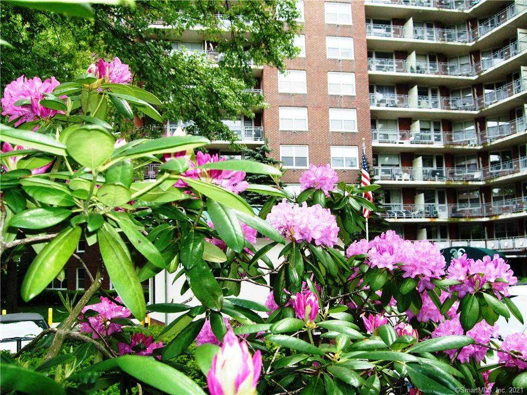 71 Strawberry Hill Avenue - Photo 1