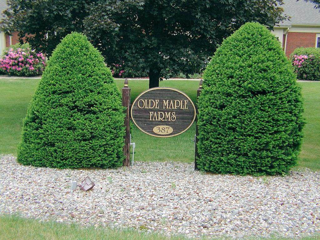 23 Olde Maple Farms - Photo 1