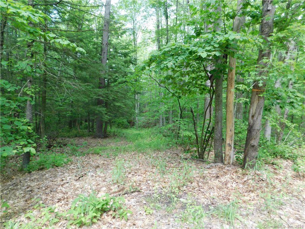 Lot 1 Old Turnpike Road North - Photo 1