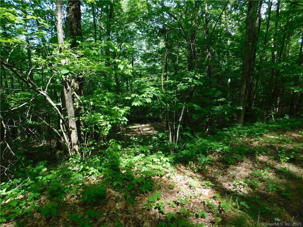 Lot 3 Old Turnpike Road North - Photo 1