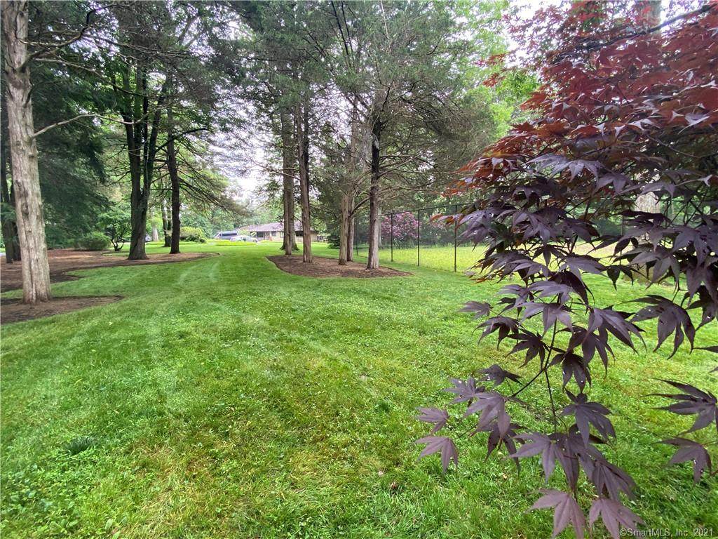 2LOT Pan Handle Lane - Photo 1