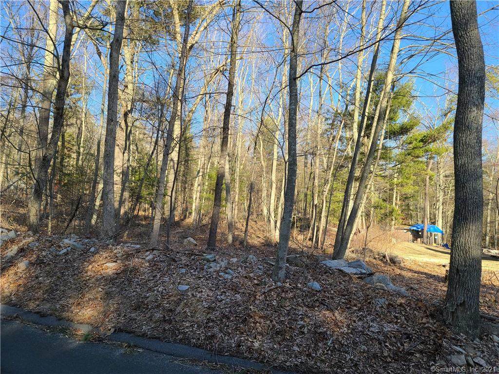 54 & 78 Breakneck Hill Road - Photo 1