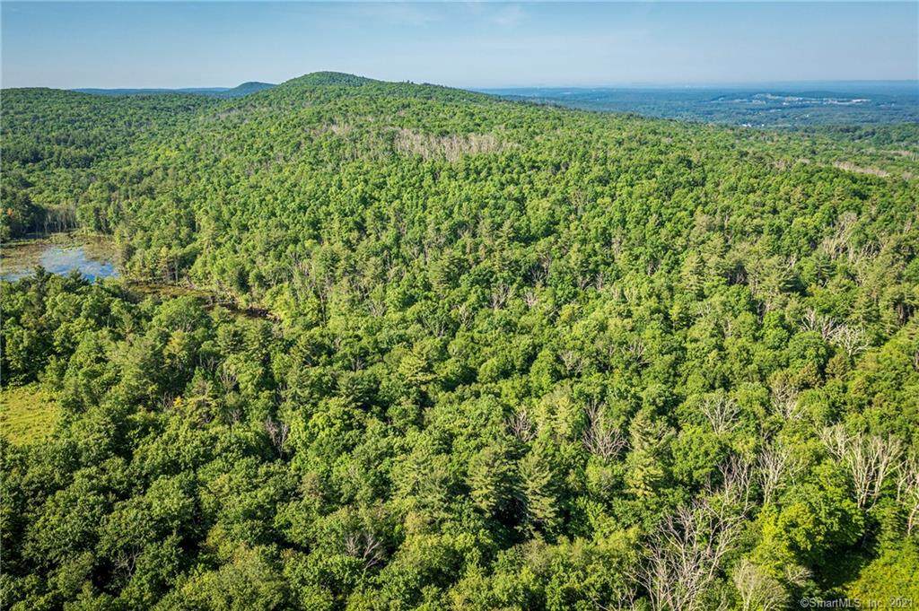 42 Dillenback Road - Photo 1