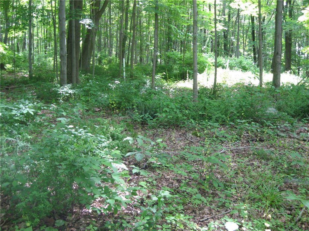 00 Washington Woodbury Road - Photo 1