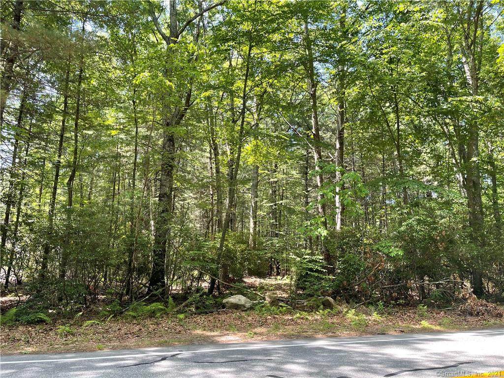 54 Town Woods Road - Photo 1