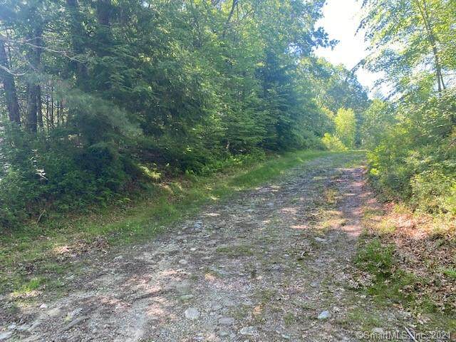 809 5 Mile River Road - Photo 1