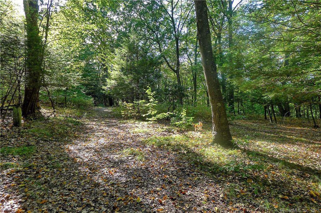 33 Woodcock Trail - Photo 1