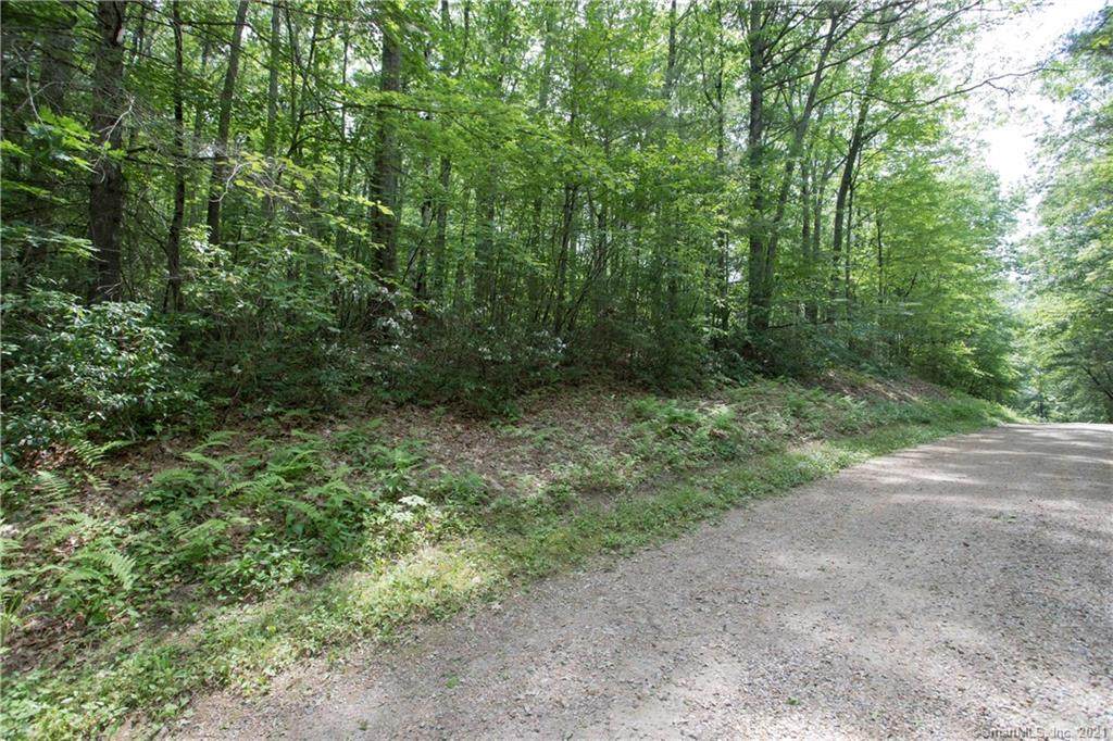 0 Old Turnpike Road - Photo 1