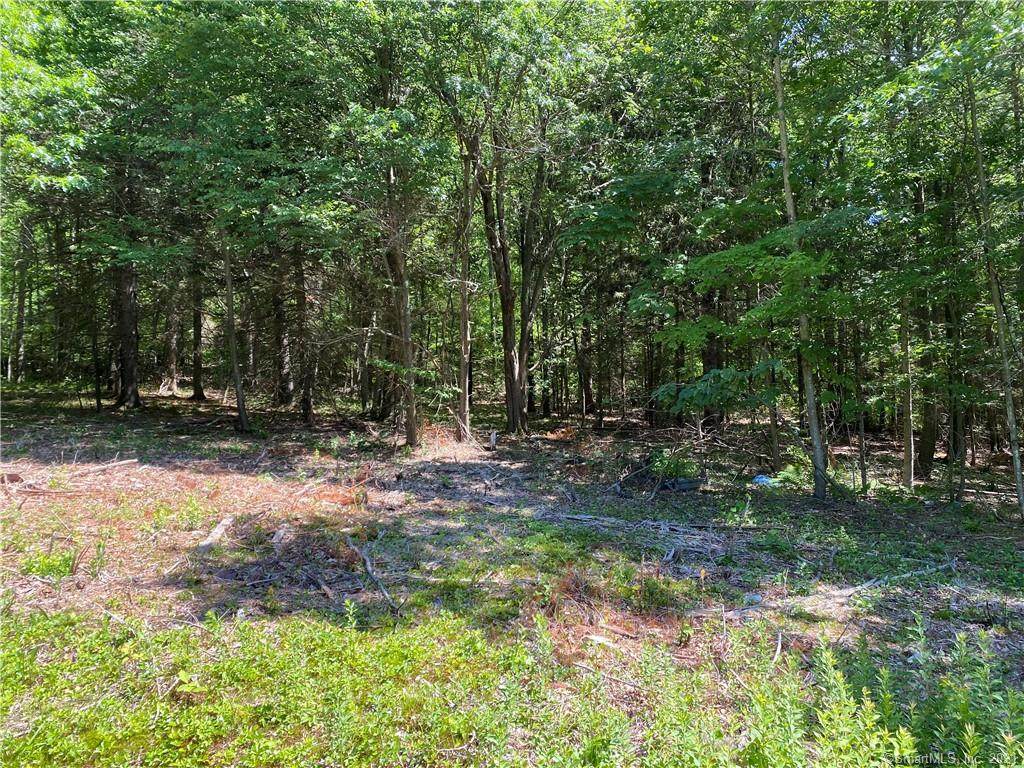 091-1 North Street - Photo 1