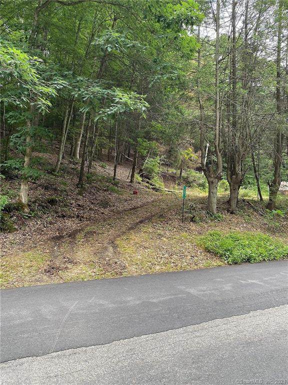 27 Mount Riga Road - Photo 1