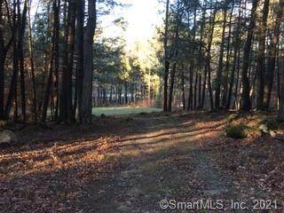 Lot 11 Feather Lane - Photo 1