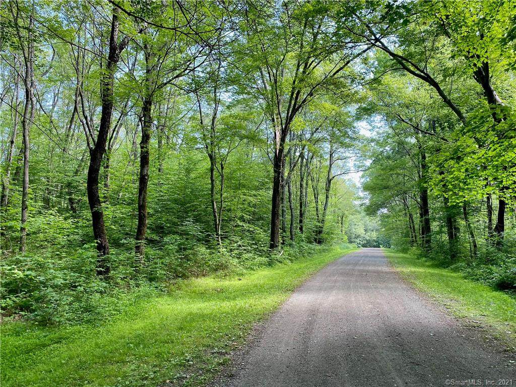 00 Old Paddock Lane - Photo 1