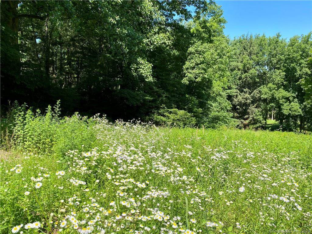 94 Cannon Road - Photo 1