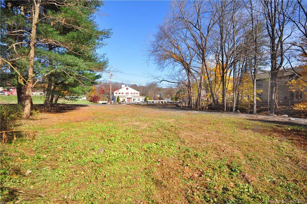 316 Albany Turnpike - Photo 1