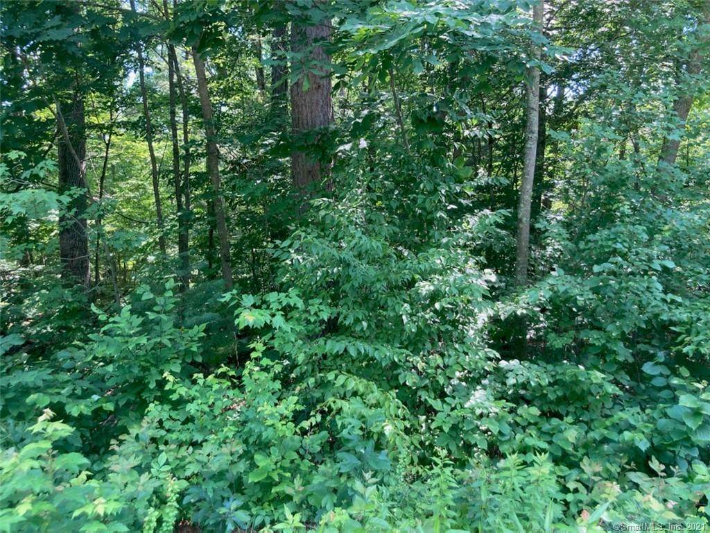 00 Quinebaug Road - Photo 1
